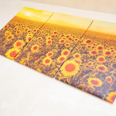 아파트 Sunflowers